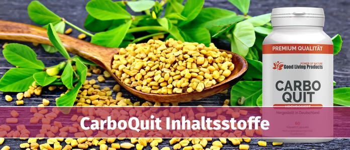 CarboQuit Inhaltsstoffe Wirkung