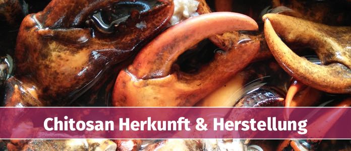 chitosan herkunft schalentiere herstellung