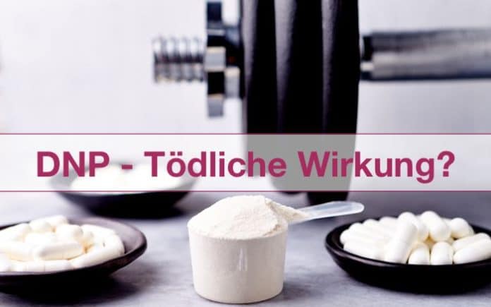 Dinitrophenol tödlich dnp wirkung